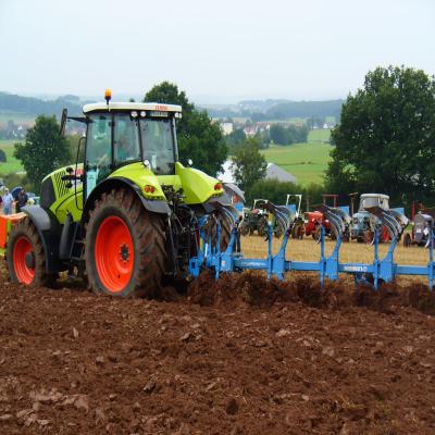 Foto des Albums: Feldtag 2011