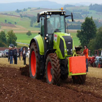 Foto des Albums: Feldtag 2011