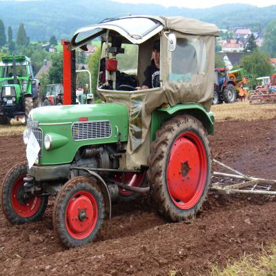 Foto des Albums: Feldtag 2011