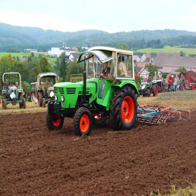 Foto des Albums: Feldtag 2011