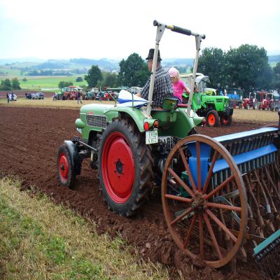 Foto des Albums: Feldtag 2011