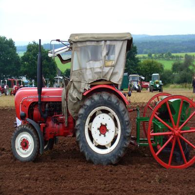 Foto des Albums: Feldtag 2011
