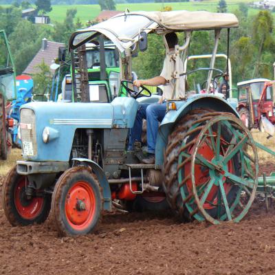Foto des Albums: Feldtag 2011