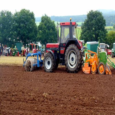 Foto des Albums: Feldtag 2011