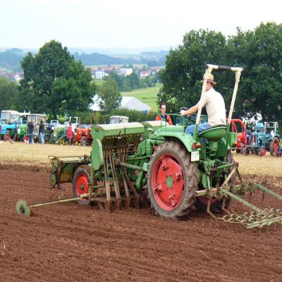 Foto des Albums: Feldtag 2011