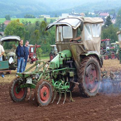 Foto des Albums: Feldtag 2011