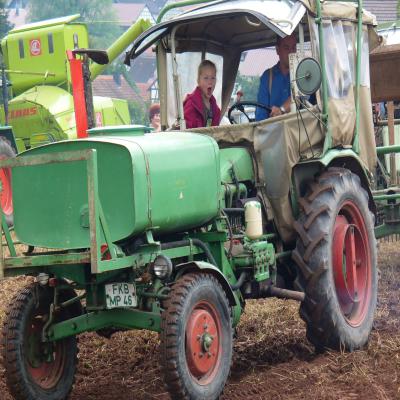 Foto des Albums: Feldtag 2011