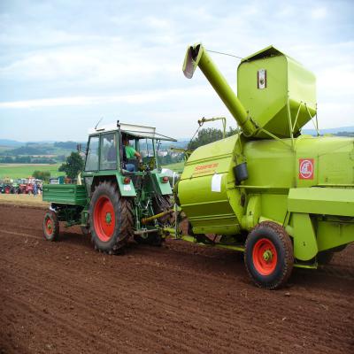 Foto des Albums: Feldtag 2011