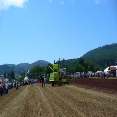 Foto des Albums: Feldtag 2011