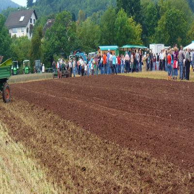 Foto des Albums: Feldtag 2011