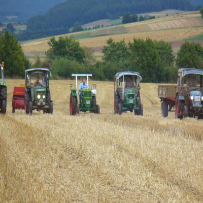 Foto des Albums: Feldtag 2013