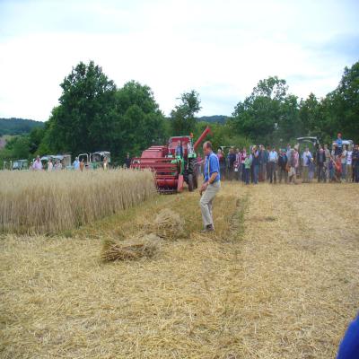 Foto des Albums: Feldtag 2013