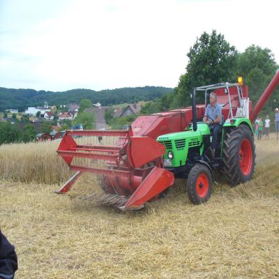 Foto des Albums: Feldtag 2013