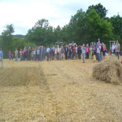 Foto des Albums: Feldtag 2013