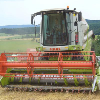 Foto des Albums: Feldtag 2013