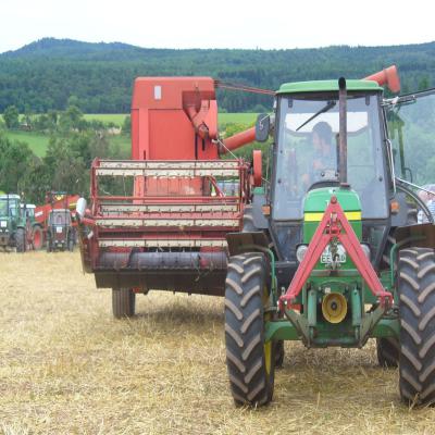 Foto des Albums: Feldtag 2013