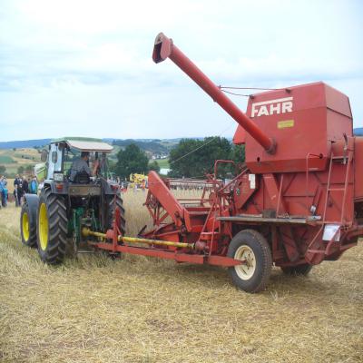 Foto des Albums: Feldtag 2013