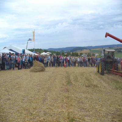 Foto des Albums: Feldtag 2013