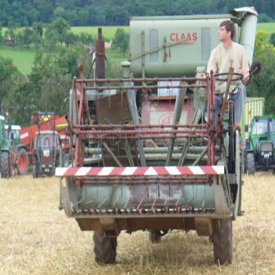 Foto des Albums: Feldtag 2013
