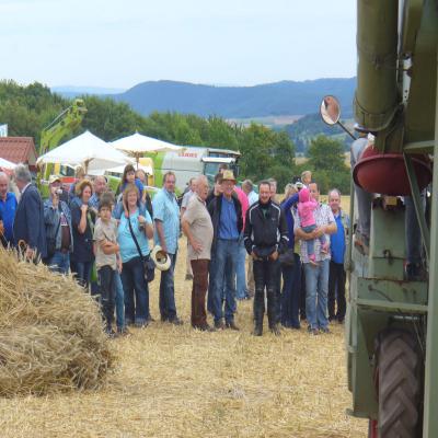 Foto des Albums: Feldtag 2013