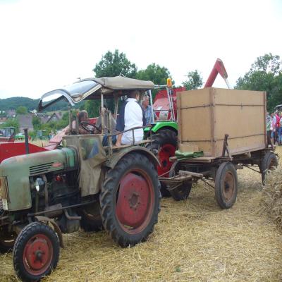 Foto des Albums: Feldtag 2013
