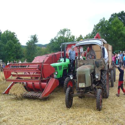 Foto des Albums: Feldtag 2013