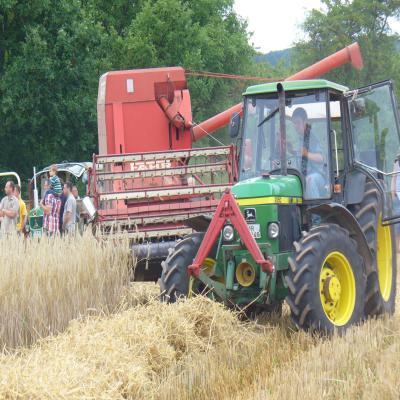 Foto des Albums: Feldtag 2013