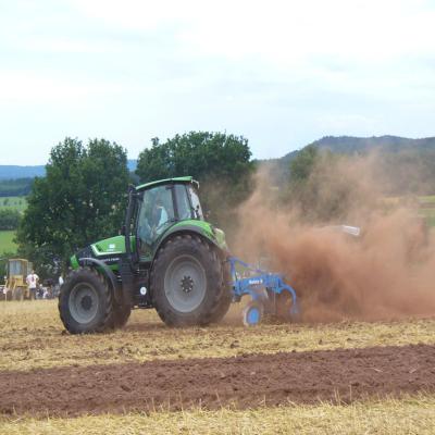 Foto des Albums: Feldtag 2013