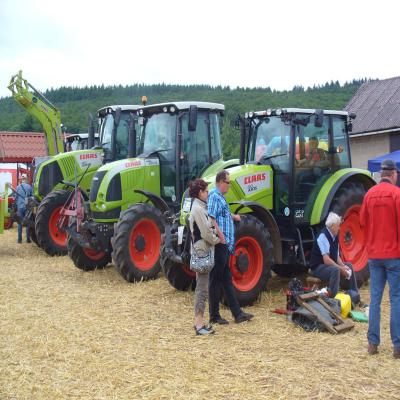 Foto des Albums: Feldtag 2013