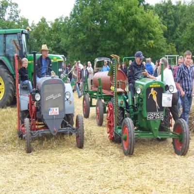 Foto des Albums: Feldtag 2013