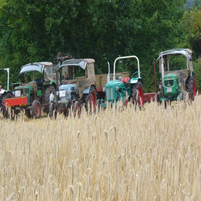 Foto des Albums: Feldtag 2013