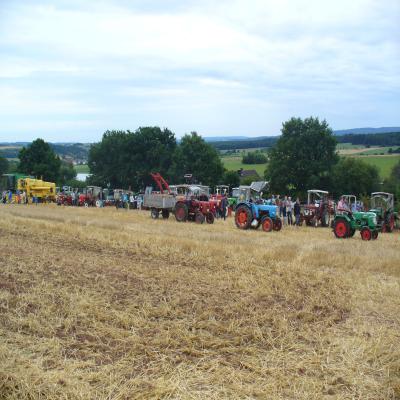 Foto des Albums: Feldtag 2013