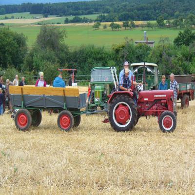 Foto des Albums: Feldtag 2013