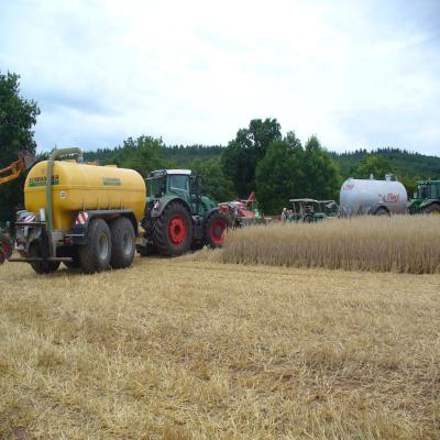Foto des Albums: Feldtag 2013