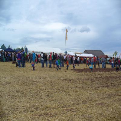 Foto des Albums: Feldtag 2013