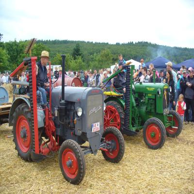 Foto des Albums: Feldtag 2013