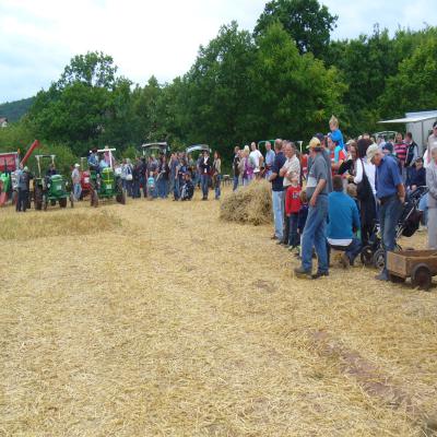 Foto des Albums: Feldtag 2013