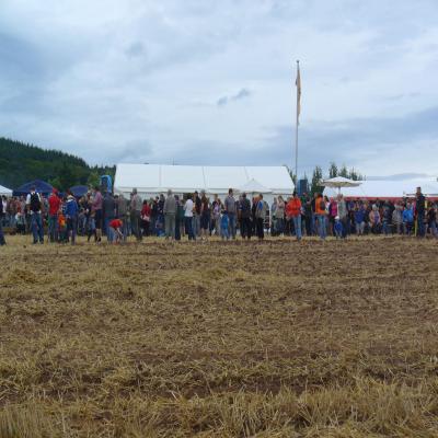 Foto des Albums: Feldtag 2013