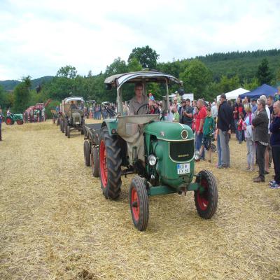 Foto des Albums: Feldtag 2013