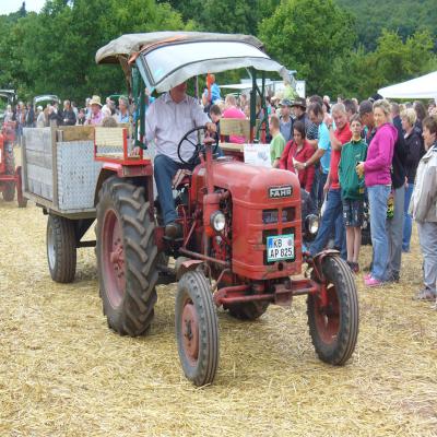 Foto des Albums: Feldtag 2013