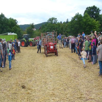 Foto des Albums: Feldtag 2013