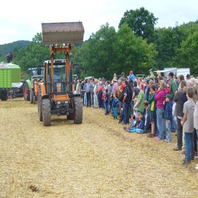 Foto des Albums: Feldtag 2013