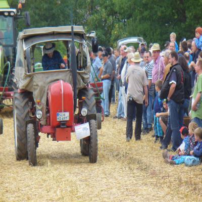 Foto des Albums: Feldtag 2013