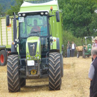 Foto des Albums: Feldtag 2013