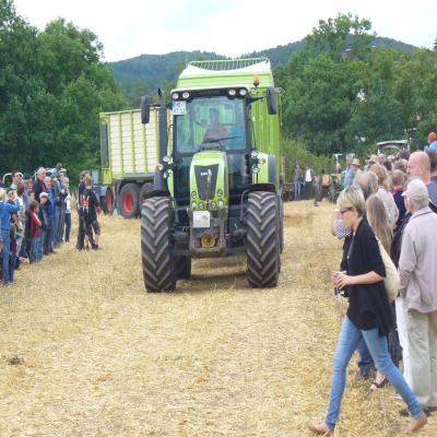 Foto des Albums: Feldtag 2013