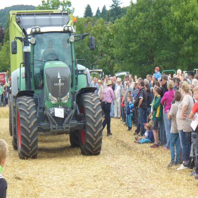 Foto des Albums: Feldtag 2013