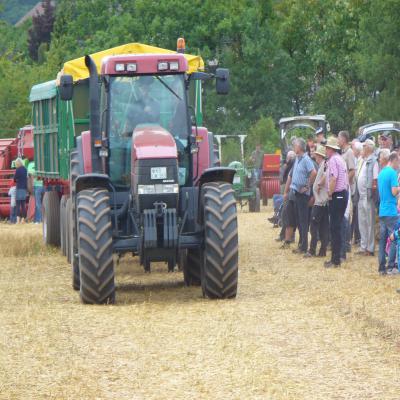 Foto des Albums: Feldtag 2013