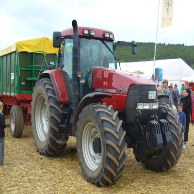 Foto des Albums: Feldtag 2013