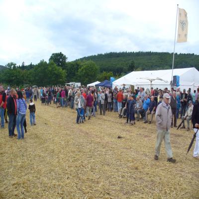 Foto des Albums: Feldtag 2013