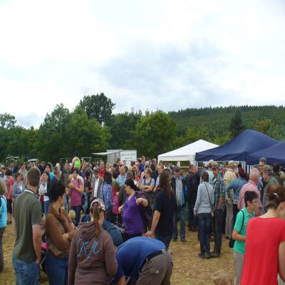Foto des Albums: Feldtag 2013